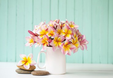 绍兴SPA按摩是一种完美的压力释放方式